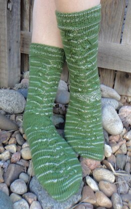 Slytherin Potions Socks