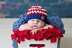 Patriotic "Stars & Stripes" Beanie