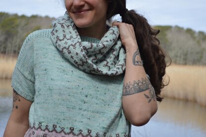 Spring Hopes Cowl