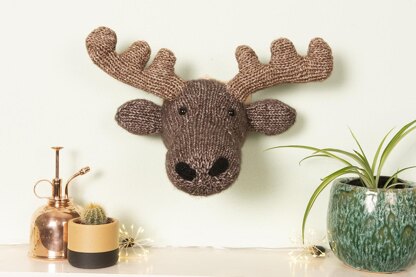 Moose Head