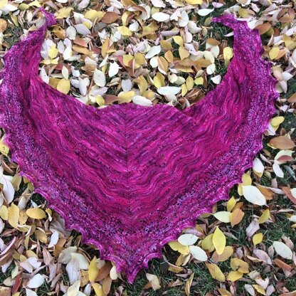 StarPainter Shawl