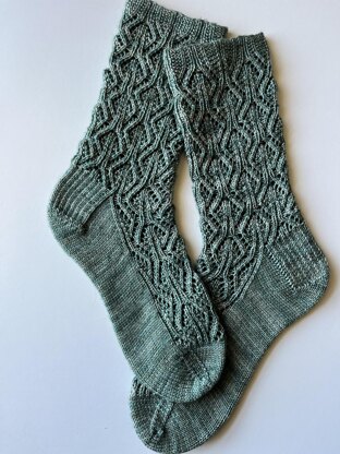 Syngonium Socks