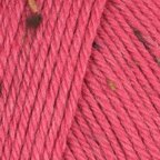 Beet (921)