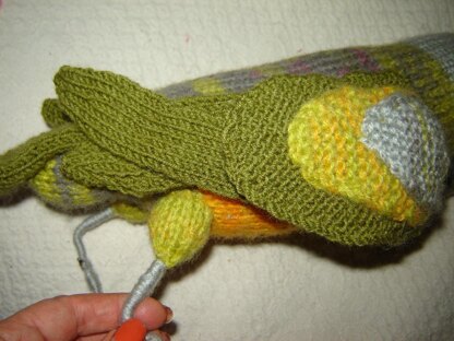 Senegal Parrot Knitting Pattern – Realistic Bird Toy DIY
