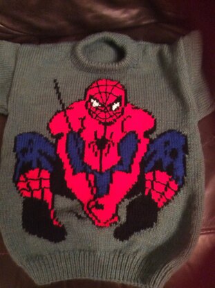 Spider-Man jumper
