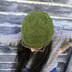 Spunky Spruce Hat