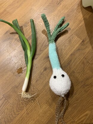 Spring Onion