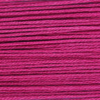 Paintbox Crafts 6 Strand Embroidery Floss 12 Skein Value Pack - Raspberry Flan (170)