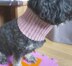 Crochet Pattern for the Dog Loop "Flower"