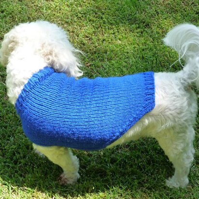 Neckdown Custom-Fit Dog Sweater