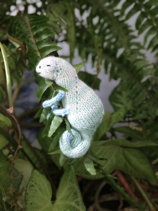 Chameleon knitting pattern