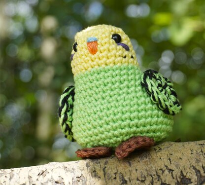 Crochet Pattern Budgie Baby Kiwi!