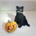 Halloween: black cat & jack-'o-lantern
