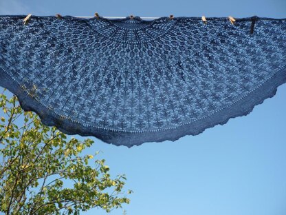 Lily's Slice of Pi Shawl