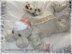 .Baby Bear All in one set