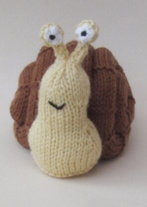 Snail Chocolate Orange Cosy