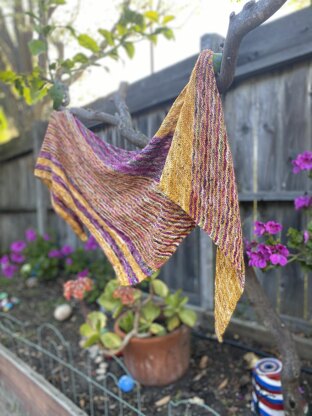 Rad Honey Shawl