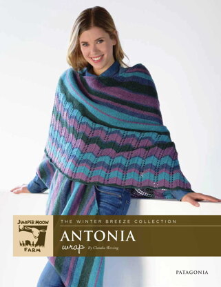 Antonia Wrap in Juniper Moon Farm Patagonia - J118-01 - Downloadable PDF