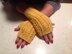 Tuscan Sun Mitts