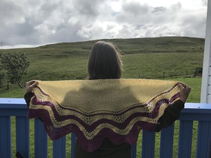 Rhubarb and Custard Shawl