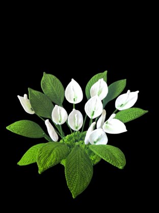 Crochet Peace Lily flowers pattern