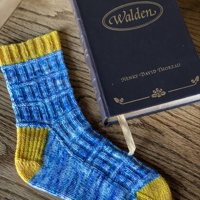 Bookish Socks