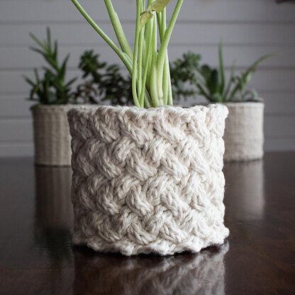 Plant Cozy : Lattice