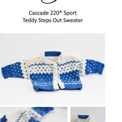 Teddy Steps Out Sweater in Cascade 220 Sport - DK278