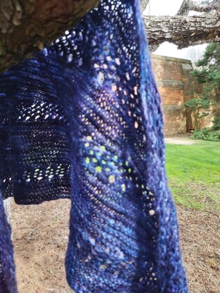 Lords of the Court Shawl