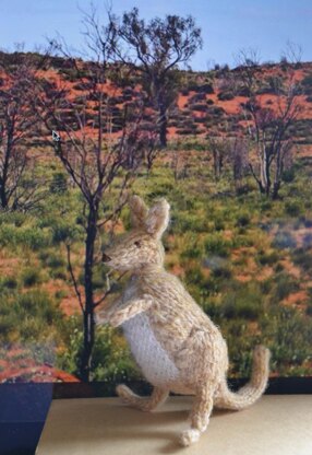 Kangaroo Family