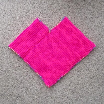 Poncho for Teddy