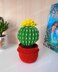 Cactus in a pot_5