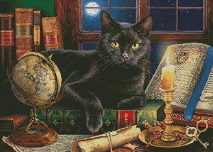 Black Cat by Candlelight - #14289-MHS