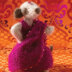 Knitted Meerkats