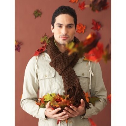 Handsome Scarf in Bernat Softee Chunky