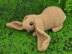 English lop rabbit