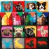 Chihuahua Pet Portrait Cushion Cover