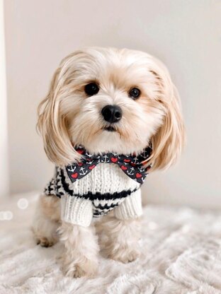Eddie Striped Dog Sweater