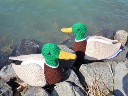 Ducks in a Row