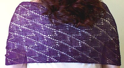 MetaKnit Shawl