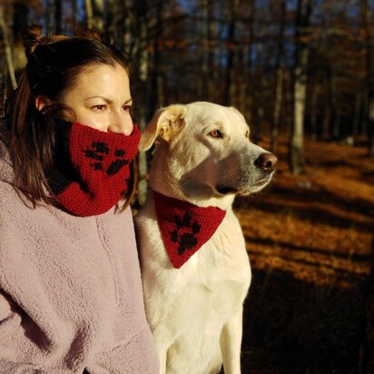 Matching cowl and dog bandana