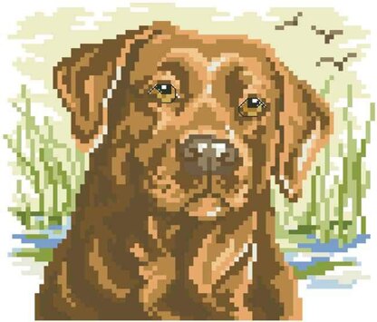 Labrador Big Stitch - PDF