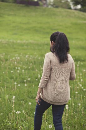 Dandelion Meadow