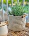 Willow Pond Planter Basket