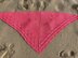 Fronde Shawl