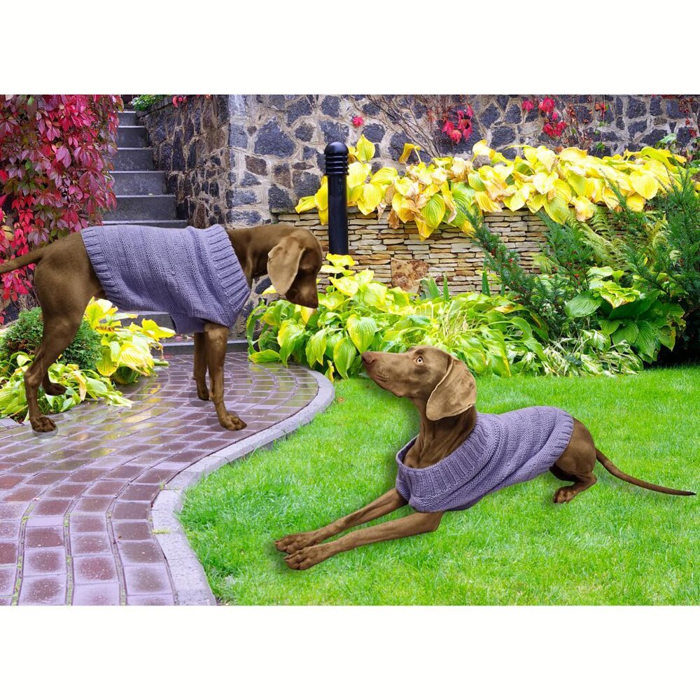 Dog jumper extra large Knitting pattern by sistersthatstitch