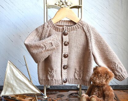 Round neck raglan sleeve cardi with cabled owls - P079