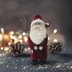 Santa Claus