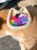 Cat Head Basket