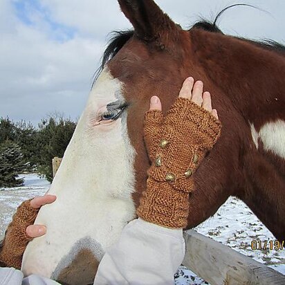 Horse Lover's Mitts - knitting pattern